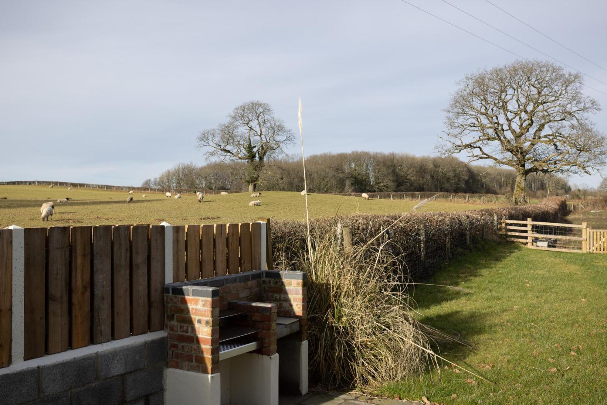 Brecon Beacons Cottage With Stunning Country Views Myddfai Екстер'єр фото