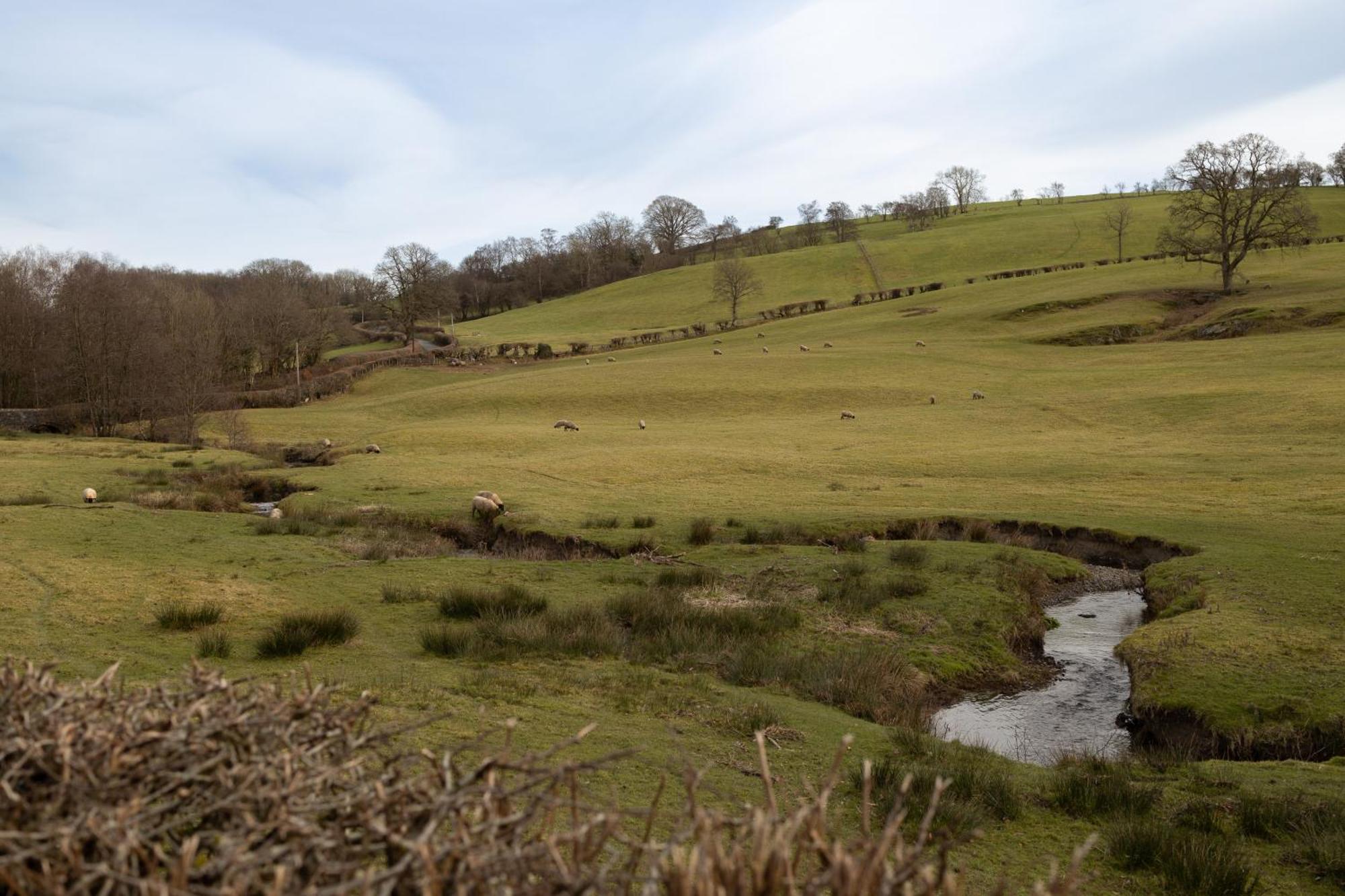 Brecon Beacons Cottage With Stunning Country Views Myddfai Екстер'єр фото
