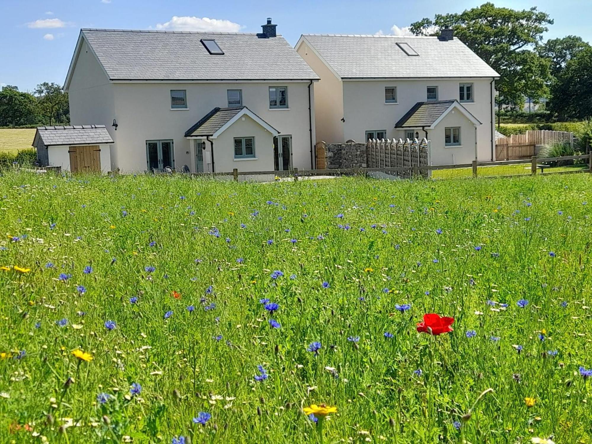 Brecon Beacons Cottage With Stunning Country Views Myddfai Екстер'єр фото